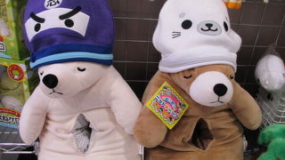 ゆったりと泳ぐ魚を眺めていると癒されます。