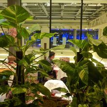 店内の様子　窓の外にはブルーのイルミネーションが輝いています