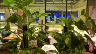 雰囲気の良い中を美味しい料理に美味しいビールを頂きました!