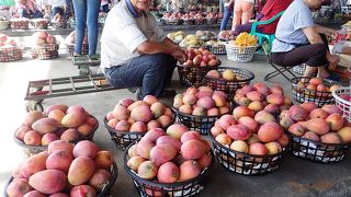 台南駅からバスで１時間２０分ほど。たくさんのマンゴーが売られ、ひとつ１００円もしない安さだった。