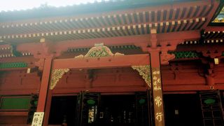 自由に見ることができます