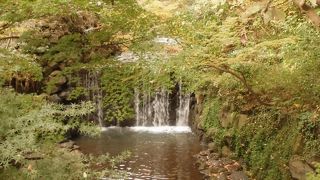 意外なところにある滝