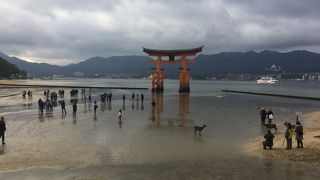 実はリーズナブル