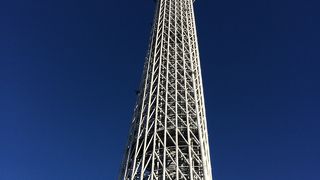 休日は事前予約がオススメ☆