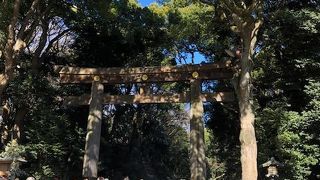 迫力があります