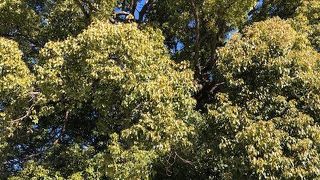 本堂のすぐ近く