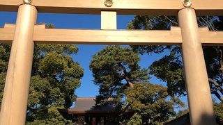 初詣に行きました