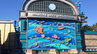 ドリーたちと一緒に海中散歩☆