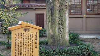 高津の富亭で上方落語