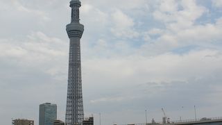 隅田川沿いに広がる公園