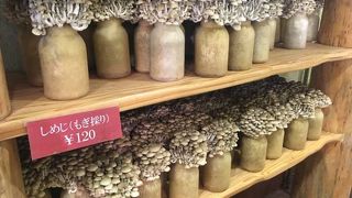 斬新なきのこ販売