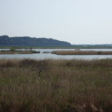 神栖市高浜の利根川河川敷の風景