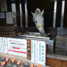 白馬伝説にちなんで