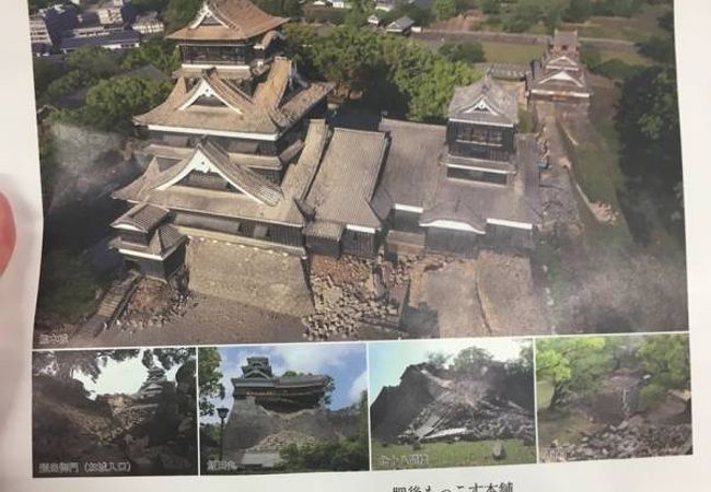 あんたがたどこさ 肥後もっこす本舗 阿蘇くまもと空港店 クチコミ アクセス 営業時間 山都 熊本空港 フォートラベル