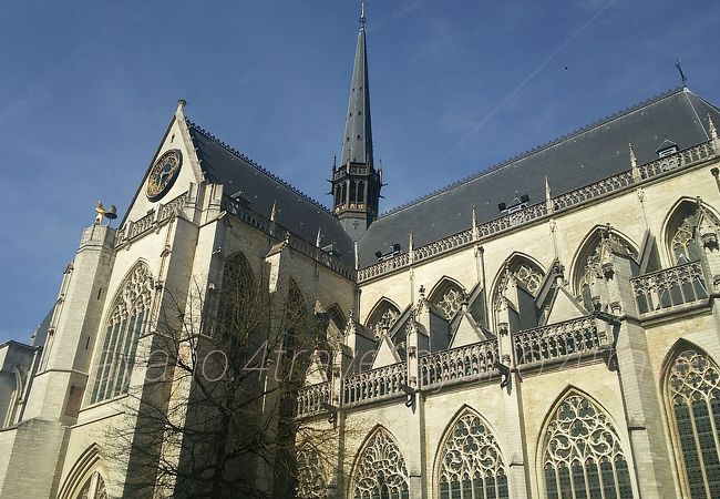 Leuvenの世界遺産、鐘楼群