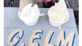 有名なアイス屋さん