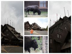 オールド フェイスフル イン 写真