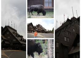 オールド フェイスフル イン 写真