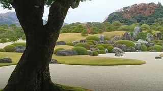 一度は見事な庭園を