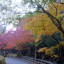 紅葉谷の入り口