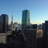 東京タワーが見えます