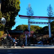 今年も河津桜が出迎えてくれました‐獅子頭を求めて