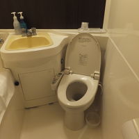 松下電工のトイレでした。洗面所の横にフラッシュボタンです。