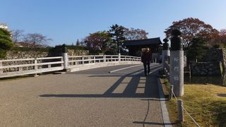 ２００７年にできたばかり。