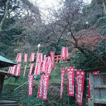 境内の更に奥の丘にも通路が続きます。