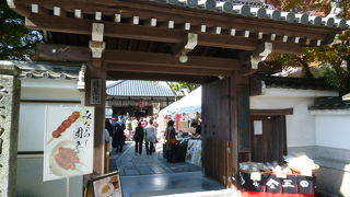 東福寺は紅葉の名所でーす