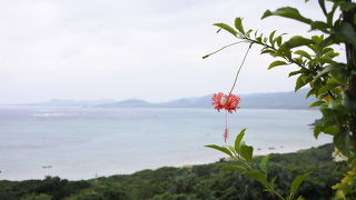 晴れてたら最高だろうなぁ