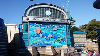 ニモやドリーたちと冒険