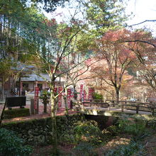 山間に囲まれた観音堂は紅葉が映える