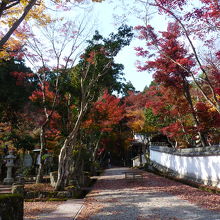 寺の沿道から見る紅葉はすばらしい