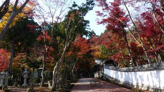 隠れた紅葉のスポット観賞西林寺