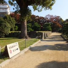 この表示に注意。