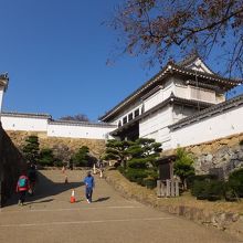 無料エリアからの観望。