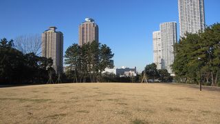 辰巳運河に面した広い芝生広場がある開放的な公園