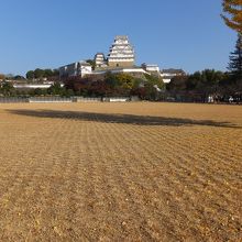 大手門をくぐった三の丸広場から。