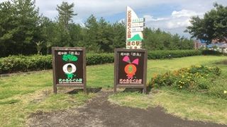 桜島のお土産が揃う道の駅