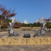 面白い撮影スポットです。