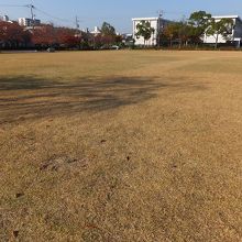 基本、このような芝生広場です。