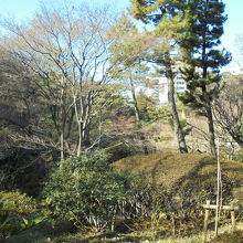 南側は傾斜地にあり眺めがよい