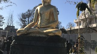 つるの池を渡ると