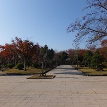 静かでおちついています。