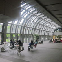 屋内のカエルさん達が生息（？）するのはこちら！