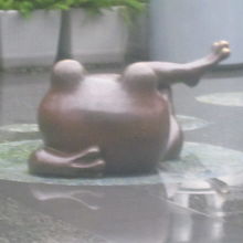 屋内から望む、屋外ガエルさんの後姿