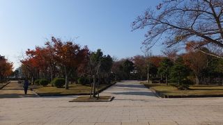 ぼたんの時期でなくともきれいな公園です。