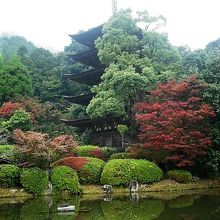 五重塔の側の紅葉