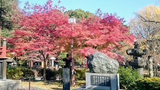 人形供養碑あたりの紅葉がきれいな「寛永寺清水観音堂」
